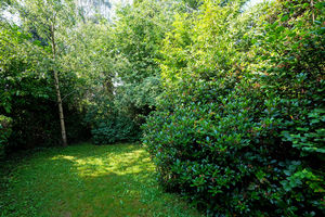 Knowle Lane Ecclesall